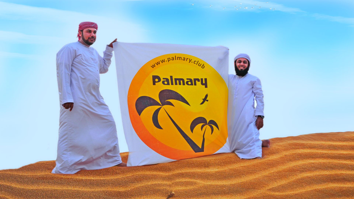 Вливайтесь в Palmary